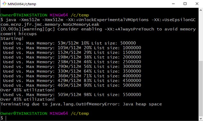 Java JVM options