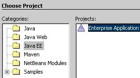 New Enterprise Application