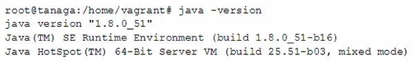 JRE version command