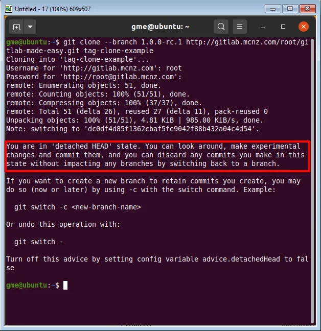 detached git clone tag head