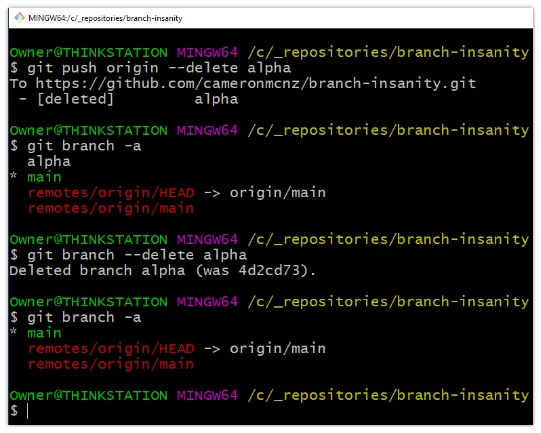 Commands to delete local and remote Git branches