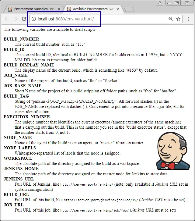 Jenkins Environment Variables