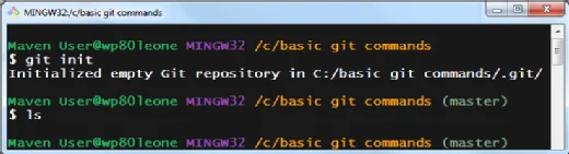 git init