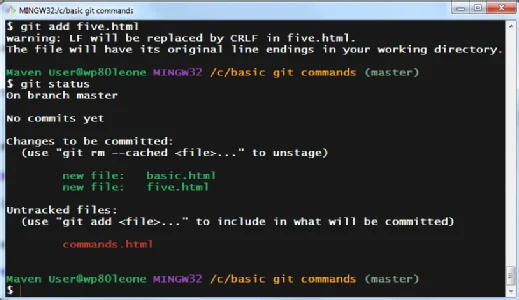 git status