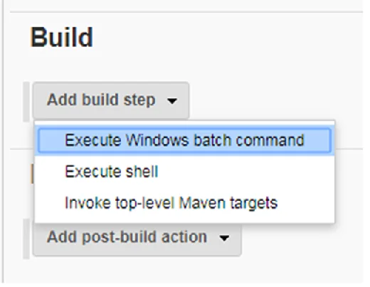 Execute Windows