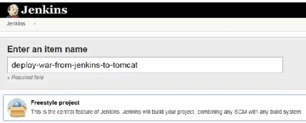 Jenkins freestyle job