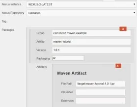 Jenkin Nexus repository