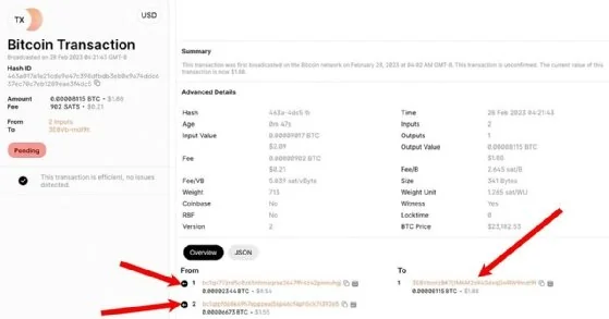 Screenshot of Blockchain Explorer showing Bitcoin transaction information.