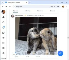 Screenshot of an image on the Bluesky Social app.