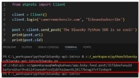 Posting with the Bluesky Python API screenshot.