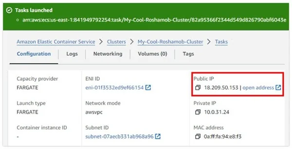 Spring Boot AWS task IP address.