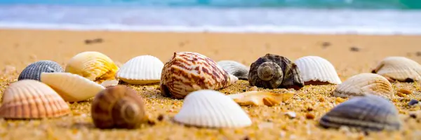 Persisting JPA 2.0 Entities with Hibernate 3.5