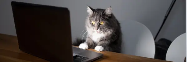 Configure Jenkins to Build Code from a GitHub Repository