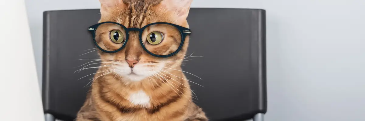 Emerging 2015 Java trends: Cloud based IDEs and greater Java 8 adoption